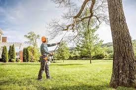 Best Hazardous Tree Removal  in Bakerstown, PA
